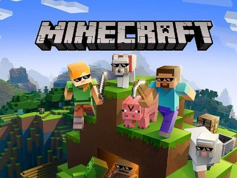 Minecraft D